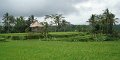 DSC00881