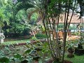 DSC00899