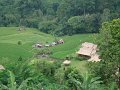 DSC00919