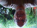 DSC00921