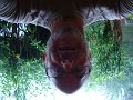 DSC00922