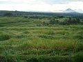 DSC00933