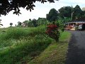 DSC00934