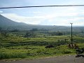 DSC00940
