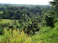DSC00941