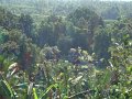 DSC00942