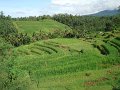DSC00944