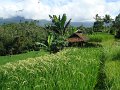 DSC00945