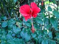 DSC00947