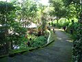 DSC00950