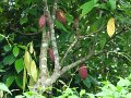 DSC00953