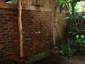 DSC00958