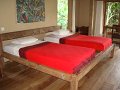 DSC00960