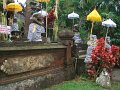 DSC00979