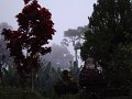 DSC00980