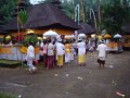 DSC00981