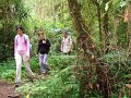 DSC01005