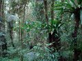 DSC01009