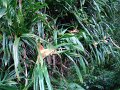 DSC01012