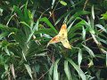 DSC01013