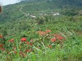 DSC01014