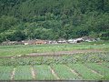 DSC01089