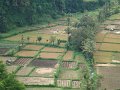 DSC01091