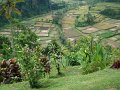 DSC01092