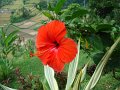 DSC01093