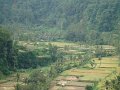 DSC01094