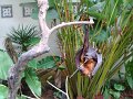 DSC01096
