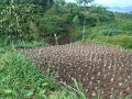 DSC01122