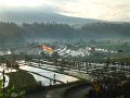 DSC01175