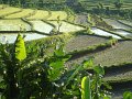 DSC01179
