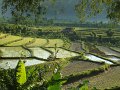 DSC01180
