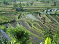 DSC01184