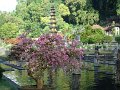 DSC01187