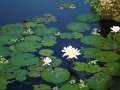 DSC01198