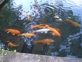 DSC01200