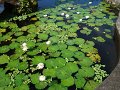 DSC01206