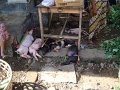 DSC01209