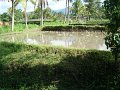 DSC01210