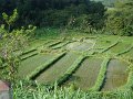 DSC01211