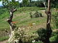 DSC01214