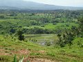 DSC01215