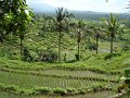 DSC01216