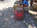 DSC01219
