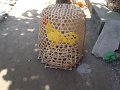 DSC01220