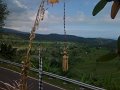 IMG_0262