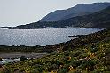 DSC06868